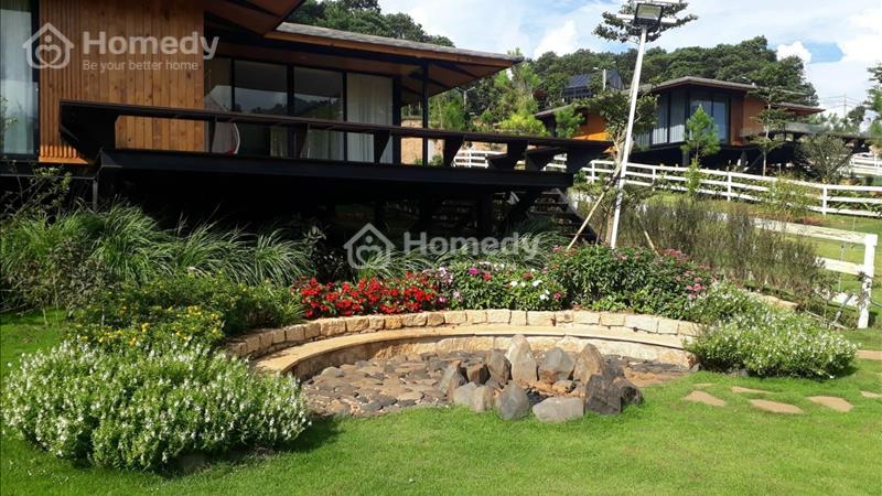 Bán Đất nền trong. khu homestay cạnh suối gần nút thắt cao tốc, gần du lịch thác Đambri giá tốt - Ảnh 6