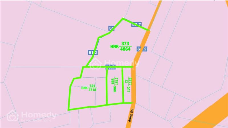Bán đất hơn 11.000 m2 cây hàng năm TP Tây Ninh. Ô tô đi tới đất. View núi Bà. Tặng căn nhà cấp 4 - Ảnh 11
