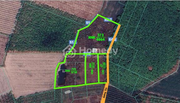 Bán đất hơn 11.000 m2 cây hàng năm TP Tây Ninh. Ô tô đi tới đất. View núi Bà. Tặng căn nhà cấp 4 - Ảnh 1