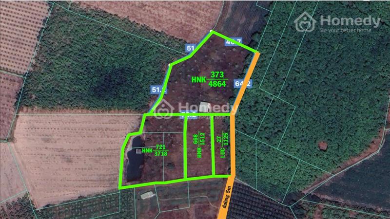 Bán đất hơn 11.000 m2 cây hàng năm TP Tây Ninh. Ô tô đi tới đất. View núi Bà. Tặng căn nhà cấp 4 - Ảnh 1