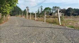 Bán gấp đất vườn 1000m2 - Ảnh 2