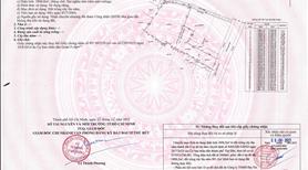 Mở bán lô đất mặt đường Nguyễn Xiển - Thủ Đức. Giá lấy lộc - vị trí đắt giá nhất mặt khu vực - Ảnh 7