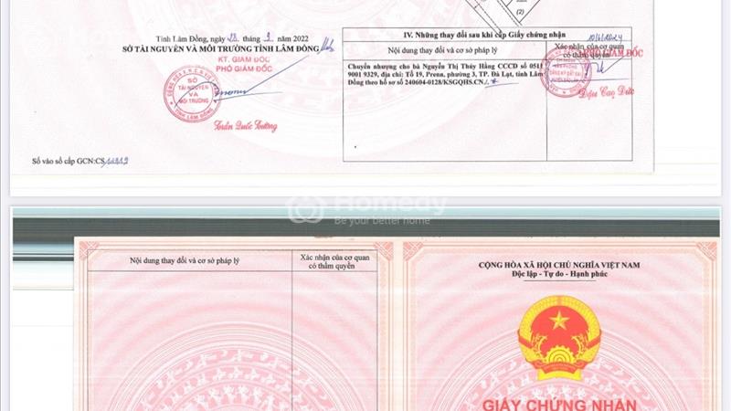 Bán đất biệt thự nghỉ dưỡng MT Tôn Thất Thuyết gần đồi chè, thác dambri, sổ hồng riêng, giá tốt - Ảnh 2