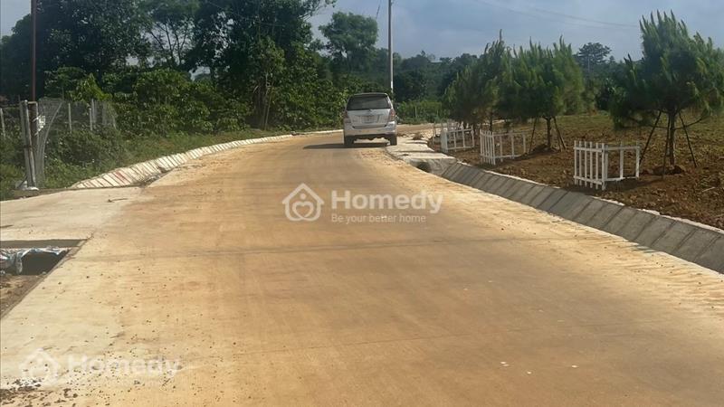 Bán đất biệt thự nghỉ dưỡng MT Tôn Thất Thuyết gần đồi chè, thác dambri, sổ hồng riêng, giá tốt - Ảnh 3