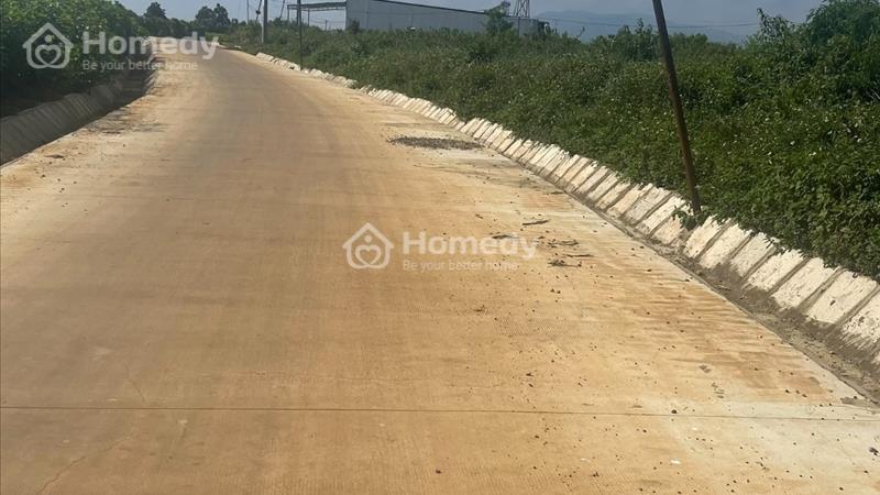 Bán đất biệt thự nghỉ dưỡng MT Tôn Thất Thuyết gần đồi chè, thác dambri, sổ hồng riêng, giá tốt - Ảnh 4