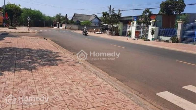 Kẹt tiền cho con đi học nên em cần bán gấp lô đất ngay quốc lộ 13 Bàu Bàng-Bình Dương - Ảnh 3