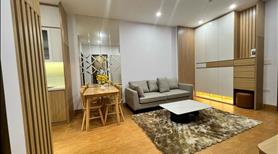 Căn hộ cao cấp Bình an Plaza thành phố Thanh hóa - Ảnh 3