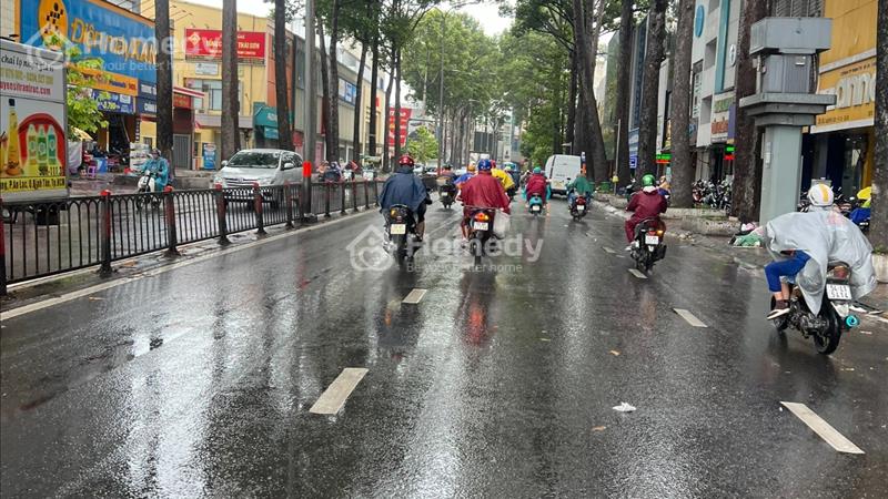 HXH Nguyễn Tri Phương 5.5x15m, Trệt, 5Lầu suốt, thang máy. hợp VPCT - Ảnh 2