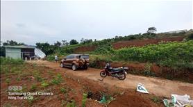 ngộp 500m2 hẻm Nguyễn An Ninh - Đambri - Tp Bảo Lộc giá 710 triệu - Ảnh 4