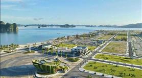 Chính Chủ Cần Bán Lô Đất Bãi Biên Vân Đồn-Quảng Ninh - Ảnh 2