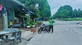 Em chính chủ kẹt tiền cần bán lô đất ngay chợ bàu bàng  - Ảnh 3