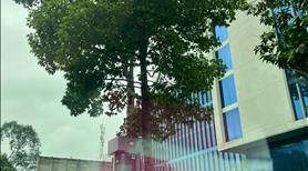 Chính chủ cần bán căn hộ Xi Grand Court - Q.10 - Ảnh 11