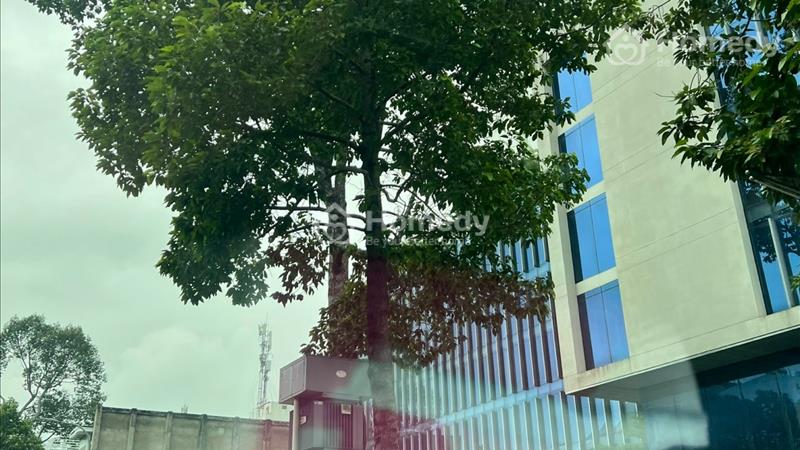 Chính chủ cần bán căn hộ Xi Grand Court - Q.10 - Ảnh 11