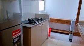 Cho thuê Căn hộ cao cấp đặc biệt nhất VN cách Aeon 300m giá bình dân - Ảnh 5