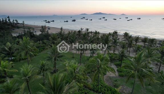 Đất biển . Nam Hội An - Ảnh 1