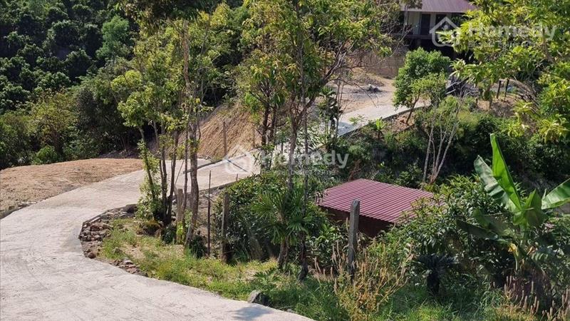 Cần bán rẩy xoài có suối, nằm trên hồ chà rang xã Ninh Hưng- Ninh Hoà. L.hệ chính chủ: 0905816178 - Ảnh 2
