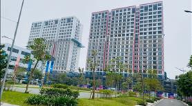 Shophouse góc rộng đẹp nhất Khai Sơn 262m2 mặt đường 40m chỉ tháng 9/2024 nhận kinh doanh luôn - Ảnh 2