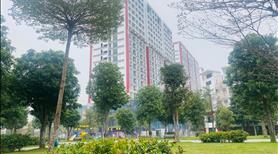Shophouse góc rộng đẹp nhất Khai Sơn 262m2 mặt đường 40m chỉ tháng 9/2024 nhận kinh doanh luôn - Ảnh 3