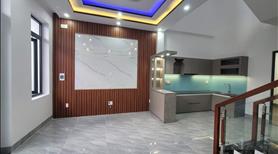 Bán nhà 2 mê đúc kiệt ô tô gần đường chính Đà Sơn 10,5m - Ảnh 3