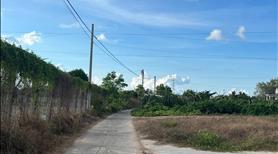 Bán 1000m2 đất Hẻm Nguyễn Minh Châu, Tân Tiến, Thị xã LaGi giá ngợp - Ảnh 6