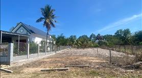 Bán 9m x 62m đất ODT đường Trưng Nhị - TX LaGi giá đầu tư, nở hậu 14m - Ảnh 2