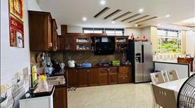 Bán Biệt Thự Kiệt Oto Đường Hà Huy Tập, Full Nội Thất. Lh: 0905642794 - Ảnh 7