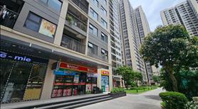 Đầu Tư Sinh Lời Cao: Shop Vinhomes Smart City - Thu Nhập 80 Triệu/Tháng, Sổ Đỏ Sẵn Sàng! - Ảnh 5