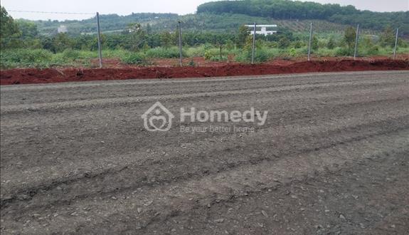 vườn Trái cây 2000m2  đường 19m view cao  thoáng mát như Dalat  - Ảnh 1