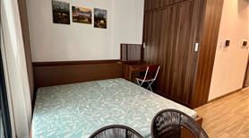 Cho thuê nhanh Studio Pavilion Vinhomes Oceanpark - Ảnh 3