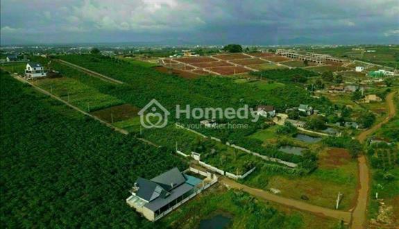 Bán lô đất thổ cư taậ Bảo Lộc liền kề sunvally - Ảnh 1