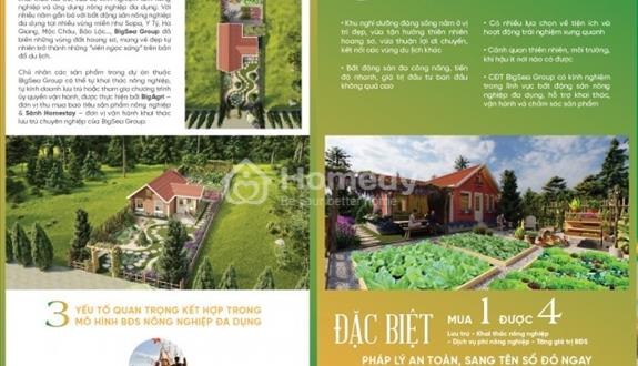 Bán đất tại Đường Đào Duy Từ, Plei Ku, Gia Lai diện tích 400m2 giá 2.3 Tỷ - Ảnh 1