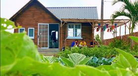 Bán gấp biệt thự, Village biển hồ tại T.p Pleiku diện tích 400m - Ảnh 5