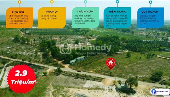 Bán 10m x 100m Đường Lương Định Của - Tân Bình - LaGi GIẢM 35% 2.5TR/M2 - Ảnh 1