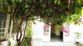 Chủ cần bán gấp căn nhà đang kinh doanh Homestay đi lịch  - Ảnh 2
