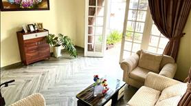 Chủ cần bán gấp căn nhà đang kinh doanh Homestay đi lịch  - Ảnh 3