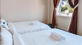 Chủ cần bán gấp căn nhà đang kinh doanh Homestay đi lịch  - Ảnh 5