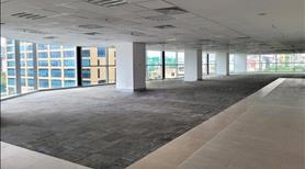 Cần cho thuê 300m2 văn phòng cao cấp tòa PVI Cầu Giấy - Ảnh 6