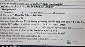 Chủ nhà cần bán đất để đóng học phí cho con học ĐH (giá giảm hơn trăm triệu) - Ảnh 4