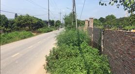 Nhượng 1100m2 đất trồng cây lâu năm tại Vân Côn - Hoài Đức - Ảnh 4
