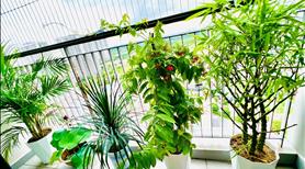 Bán căn 3 ngủ 2wc full đồ giá bán 3.3 tỷ khu S vinhomes ocean park - Ảnh 6