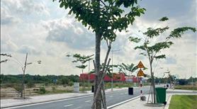 Bán đất gần khu tái định cư KCN An Hạ, 90m2 chỉ 1tỷ3, SHR công chứng ngay - Ảnh 2