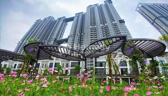Rẻ nhất thị trường - Bán căn hộ Studio chung cư Skyoasis Ecopark - Giá 1 tỷ 350 - Ảnh 1