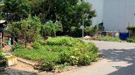 Bán Đất Băng 2 Trục 36 KĐT Minh Phương Việt Trì DT: 81m2 giá 2,35 tỷ - Ảnh 2