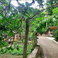 Cần Bán đất thổ cư chính chủ tại Sóc Sơn, làm homestay và nghỉ dưỡng!