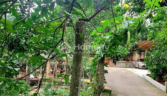 Cần Bán đất thổ cư chính chủ tại Sóc Sơn, làm homestay và nghỉ dưỡng! - Ảnh 1