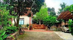 Cần Bán đất thổ cư chính chủ tại Sóc Sơn, làm homestay và nghỉ dưỡng! - Ảnh 2