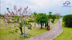 Bán Biệt Thự Belhomes view sông - Ngay chân cầu Nguyễn Trãi  - Ảnh 7