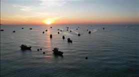 Đất biển Nam Hội An ( Ont +cây lâu năm vườn ao) - Ảnh 4
