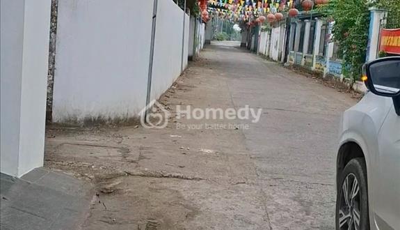 Bán đất Hoài Đức, 51m lô góc oto vào tận đất, chỉ 1.65 tỷ. - Ảnh 1