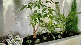Chính Chủ Bán Nhà Trục Chính Hẻm 534 Đường 30/4 Hưng Lợi Ninh Kiều  - Ảnh 5